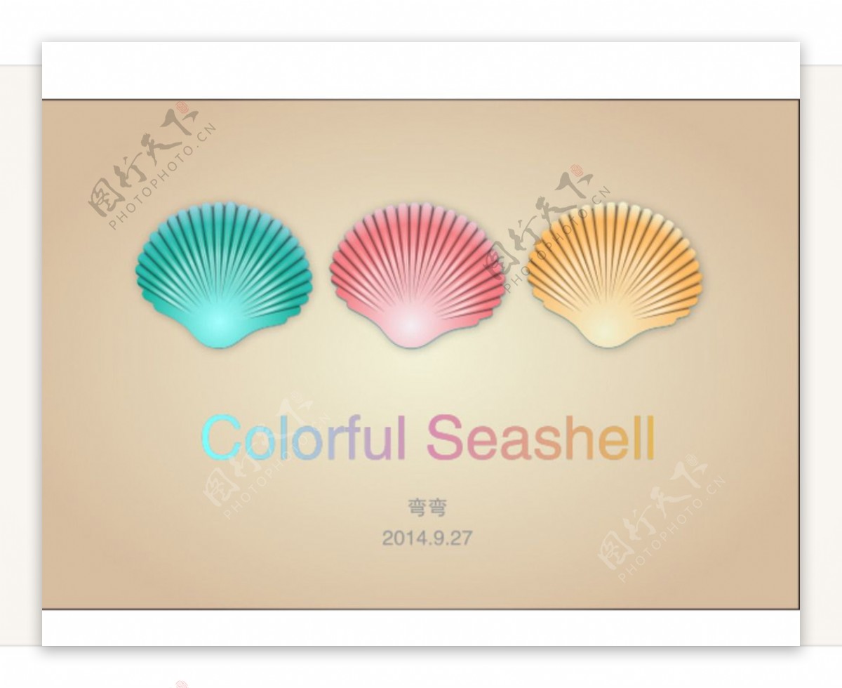 精致贝壳可用于logo图片