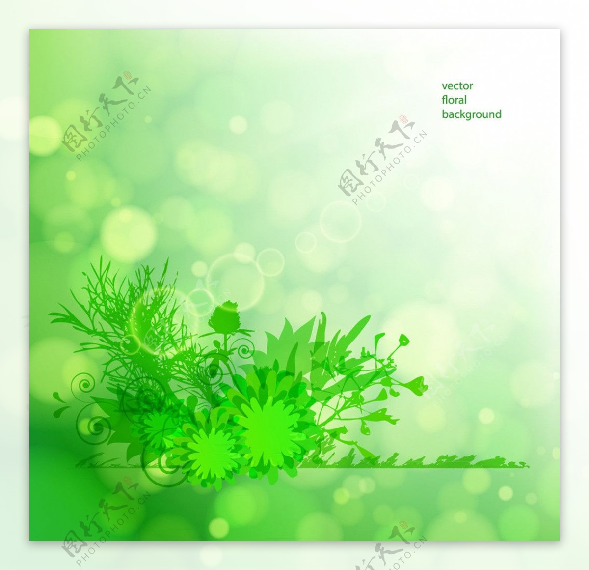 绿色花卉背景花纹图片