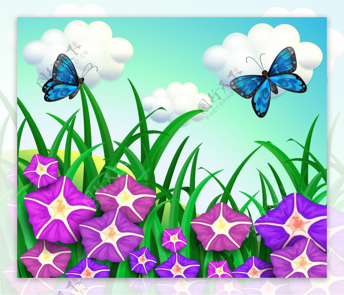花卉花朵蝴蝶自然背景图片