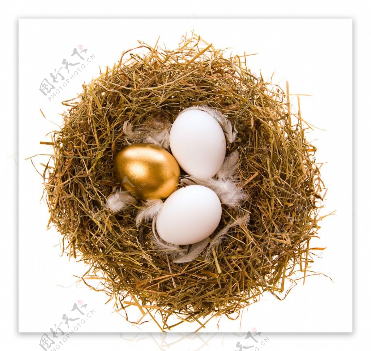 复活节金蛋鸡蛋图片