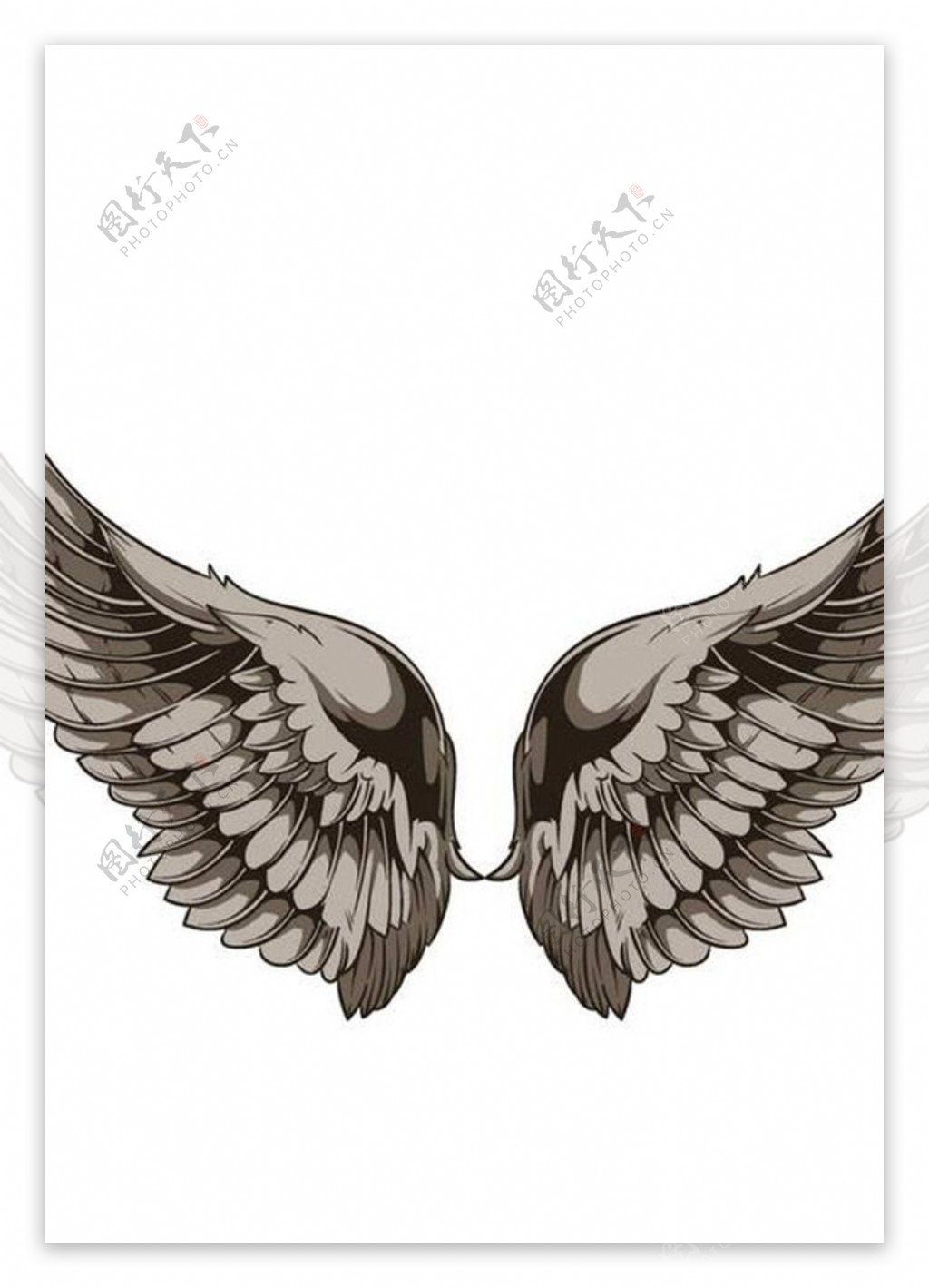 翅膀图案图片
