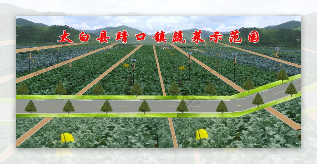 田间道路图片