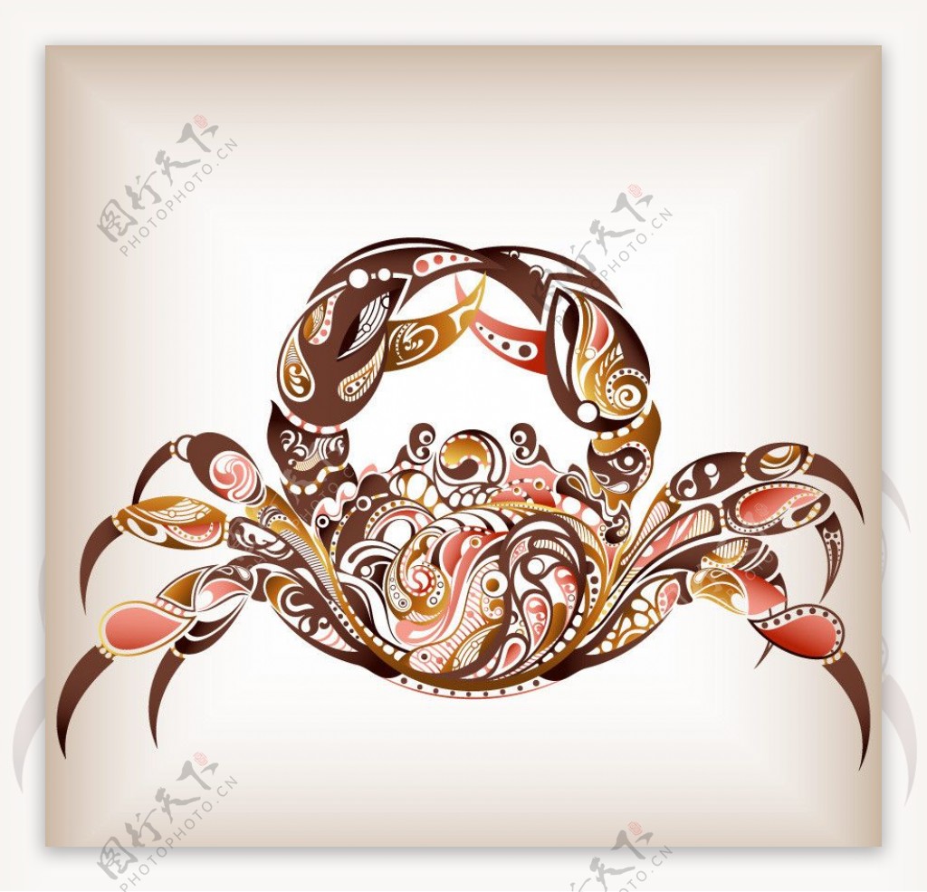 螃蟹花纹图片