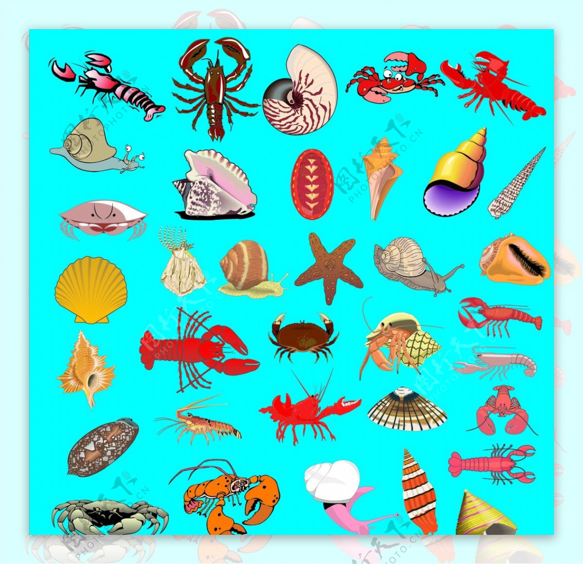 各种虾蟹索材图片