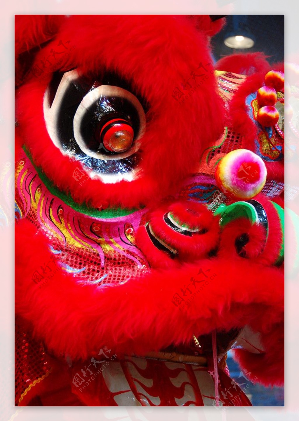 舞狮南狮中国传统文化表演艺术瑰宝节庆华人狮子liondance红特写图片