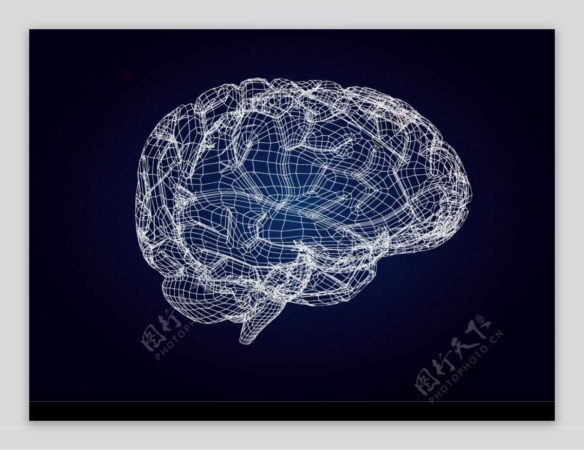3D模型风格大脑图片