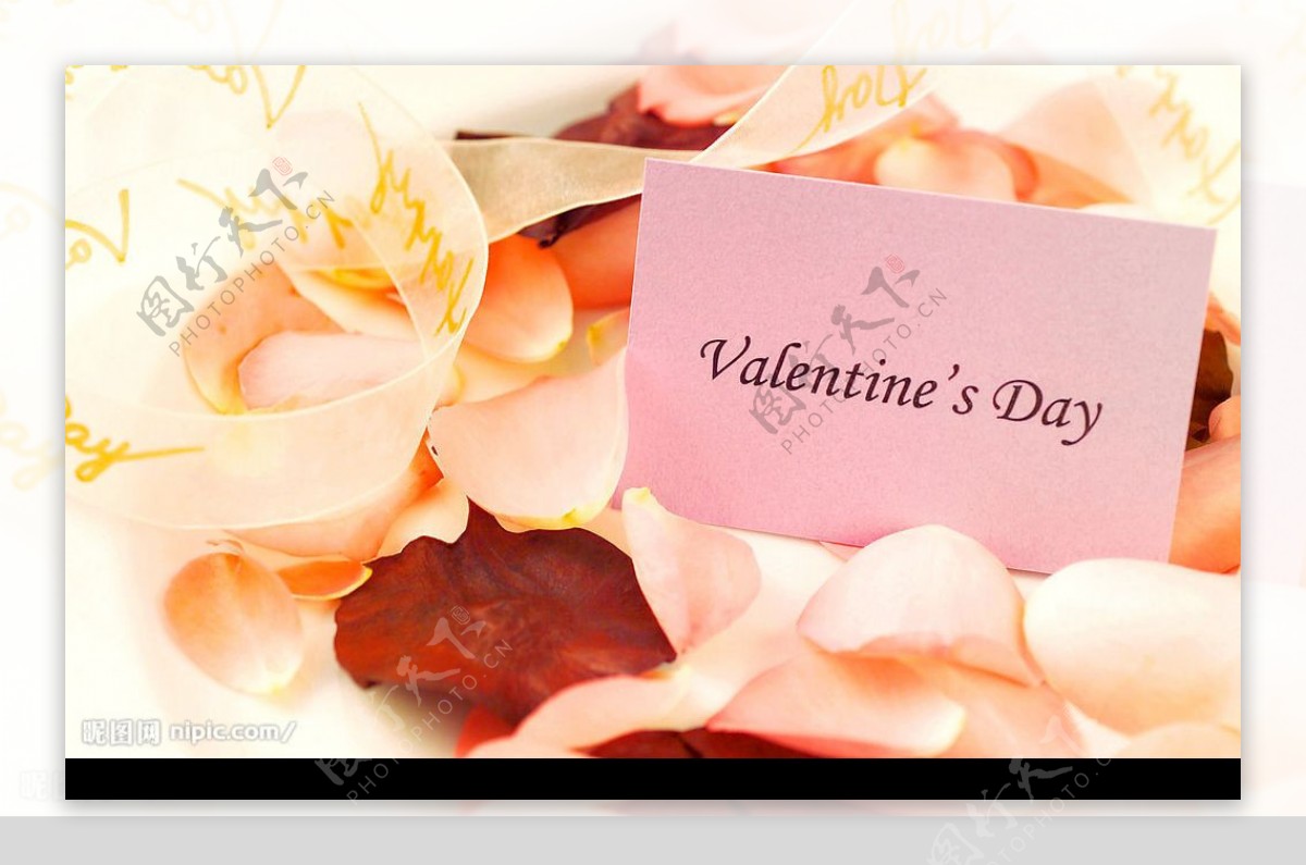 情人节粉红玫瑰缎带清纯花瓣贺卡祝福图片