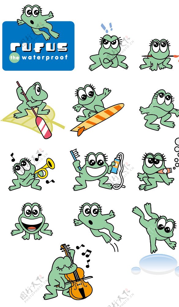 各种形态的青蛙图片