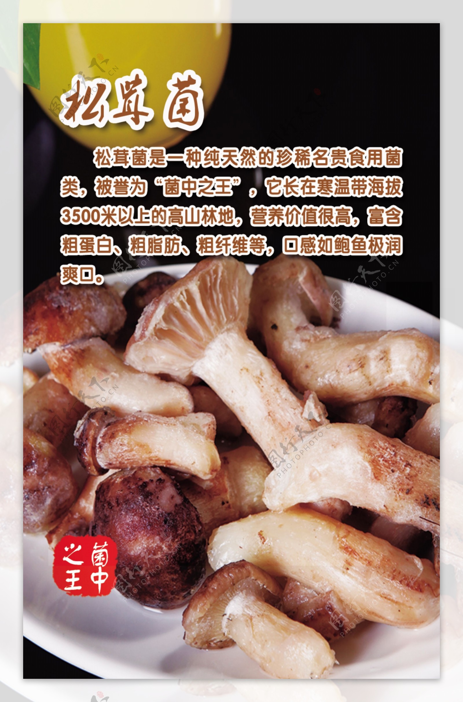 松茸菌菜品美食海报图片