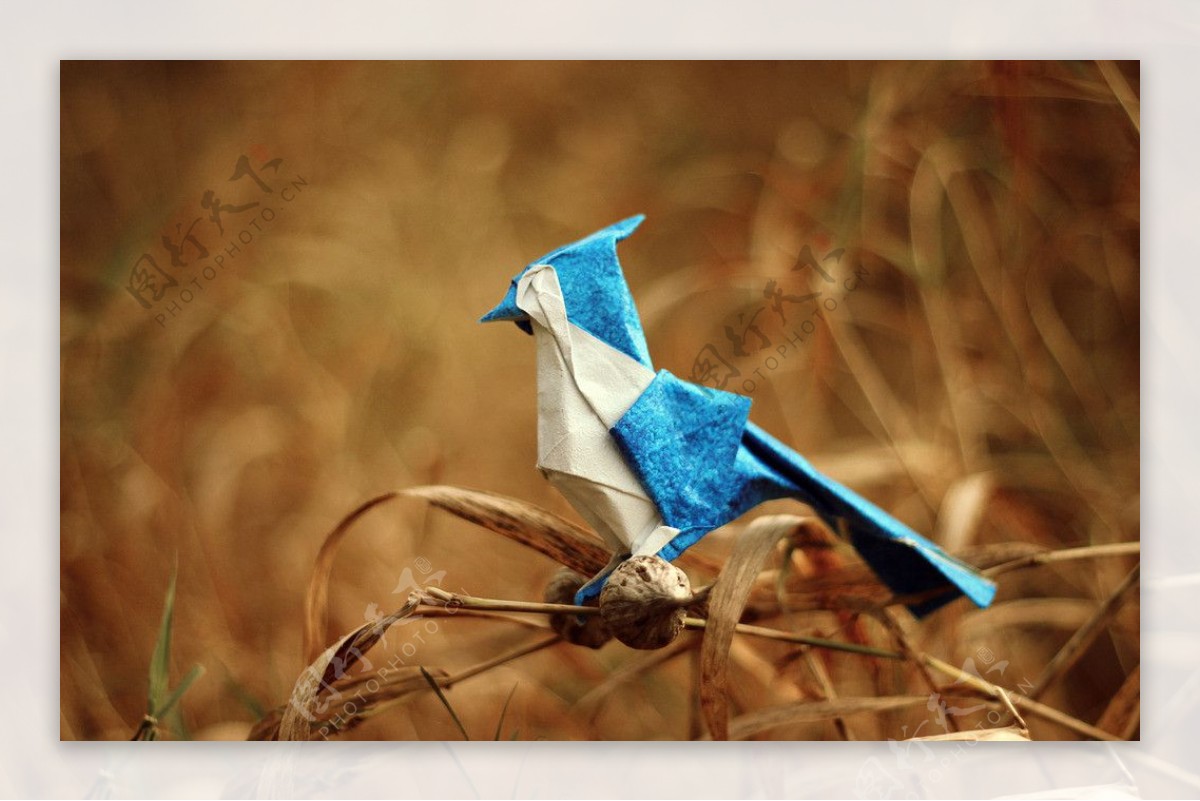 折纸小鸟素材图片