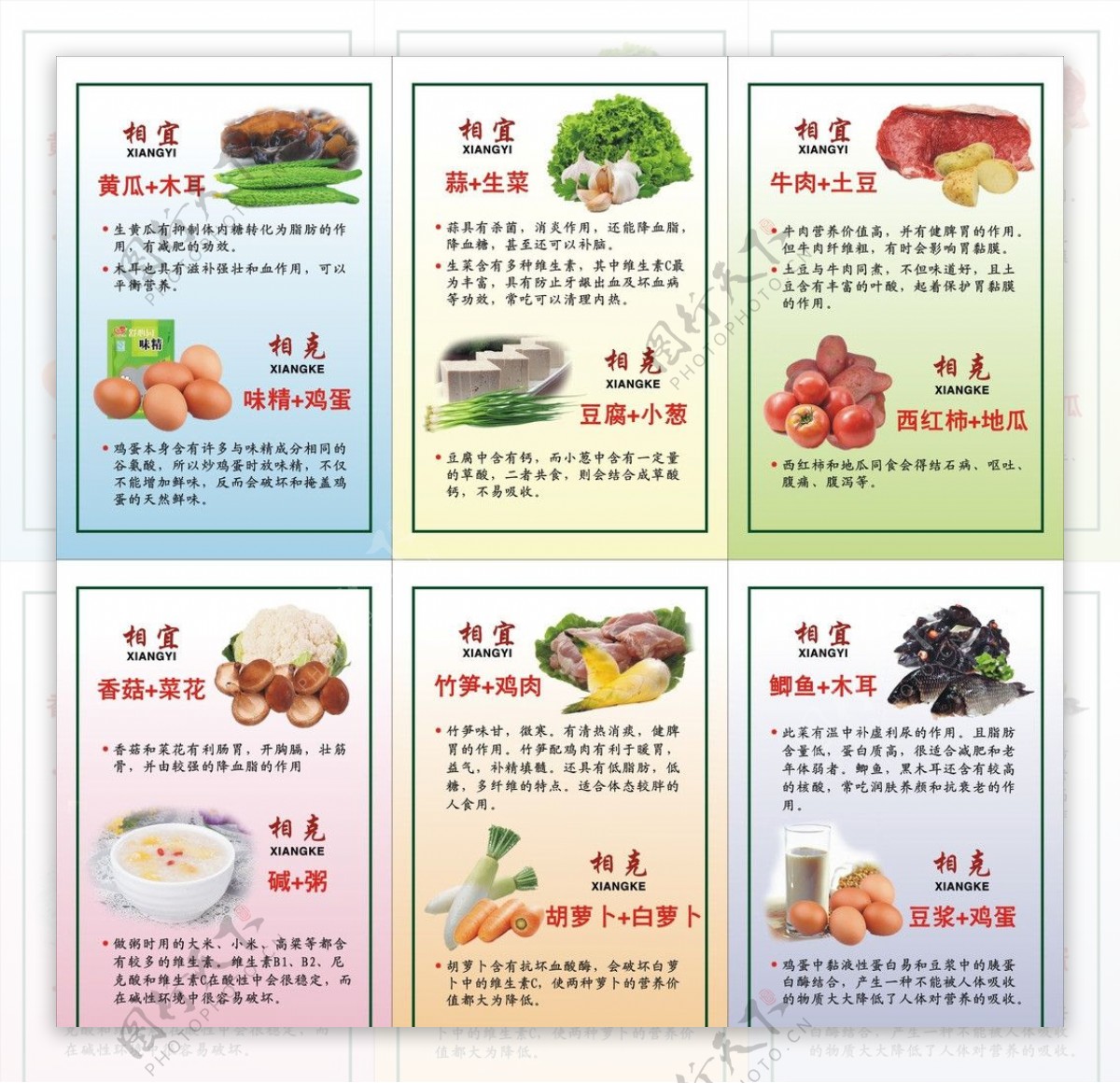 食物相生相克图片