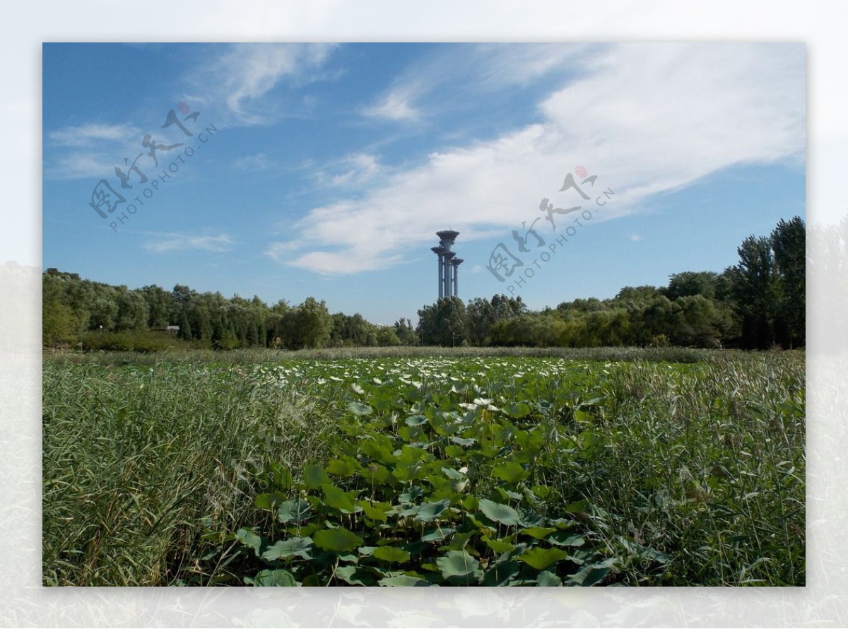 奥林匹克森林公园观光塔图片