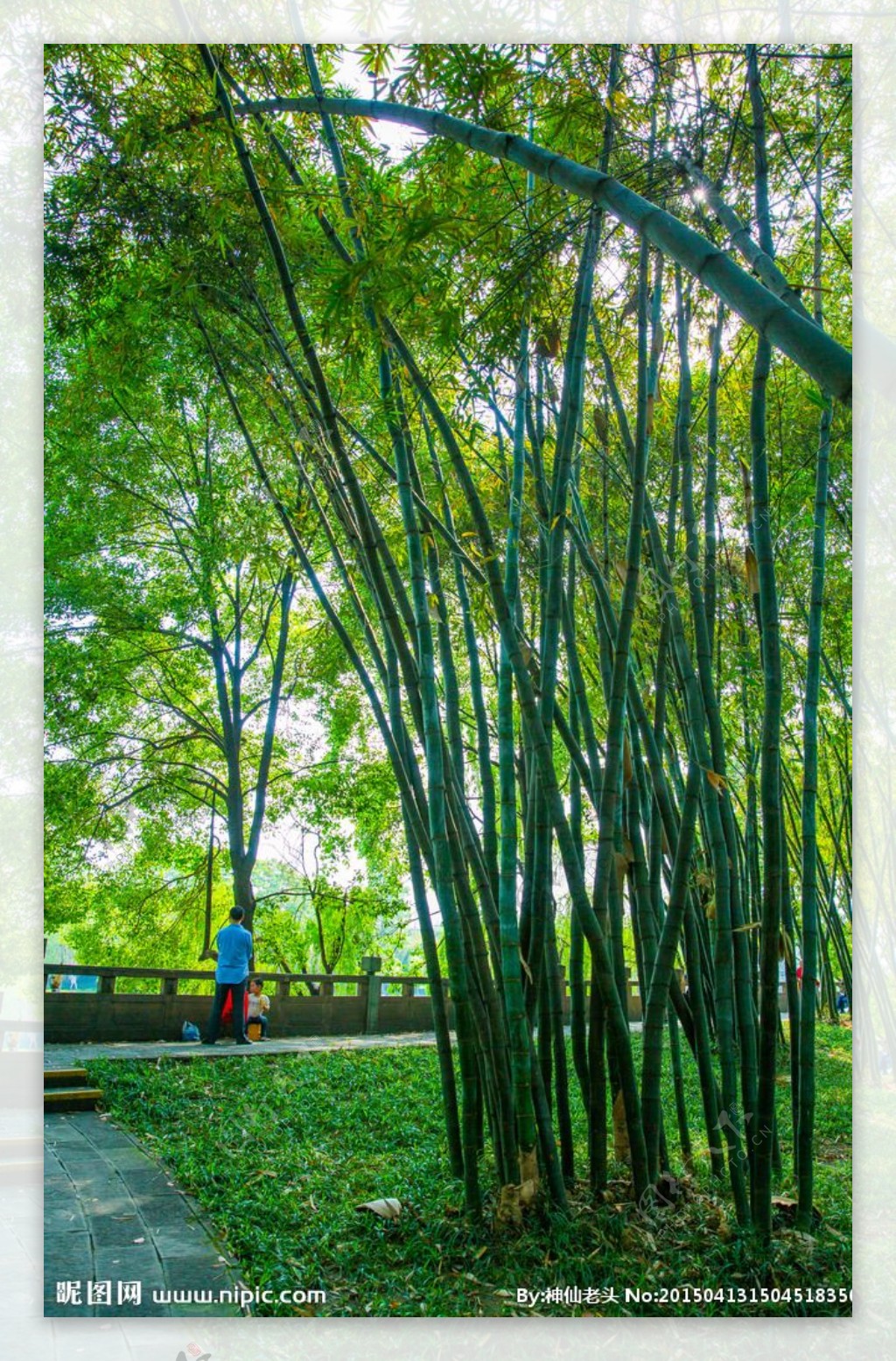 望江公园图片