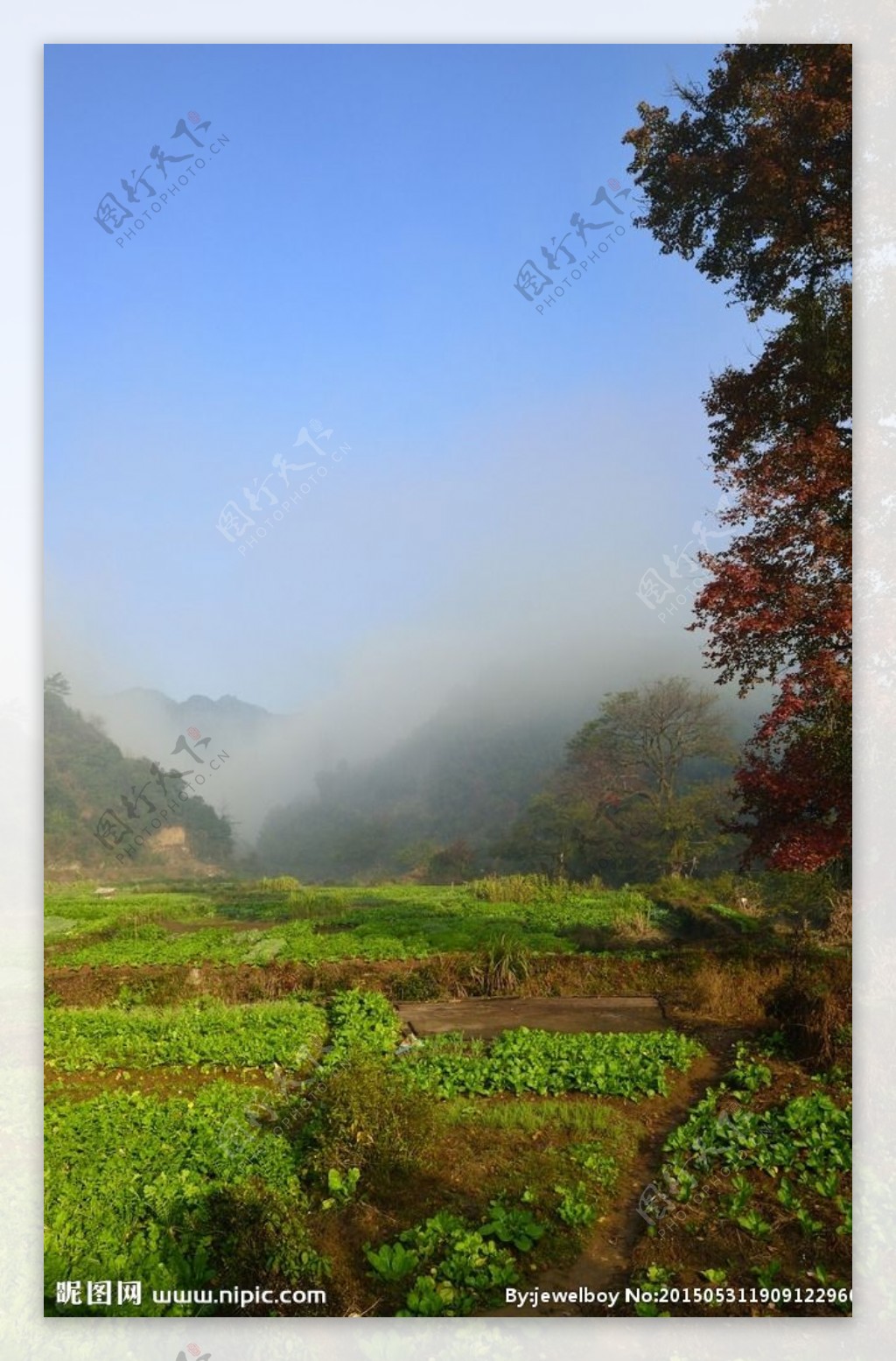 长溪村晨曦图片