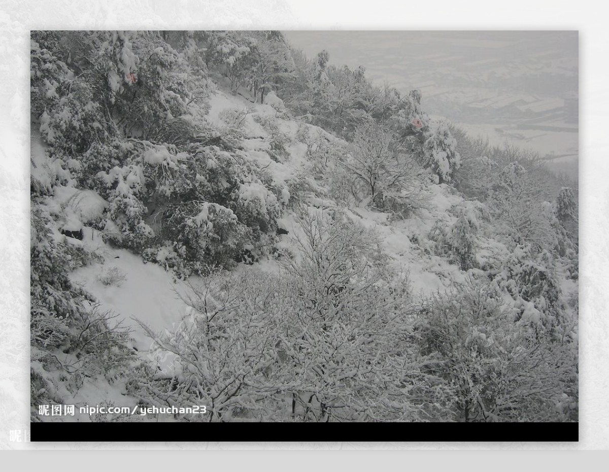 雪山和城市图片