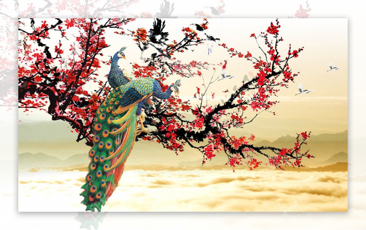 孔雀花卉国画图片