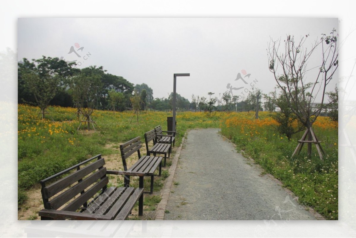 漳州郊野公园图片