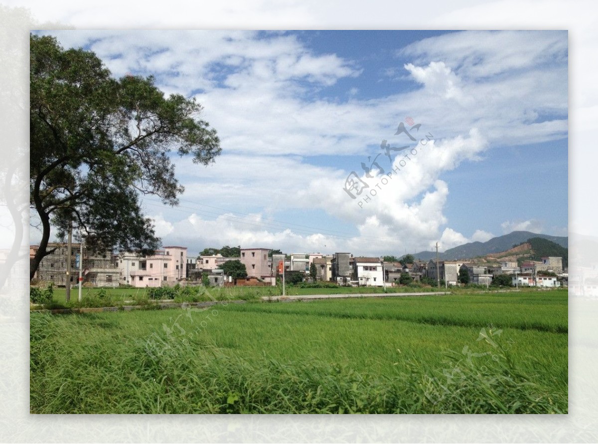 村庄景观图片