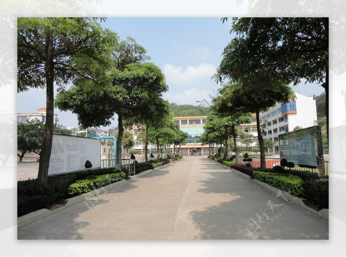 珠海街道绿化素材图片