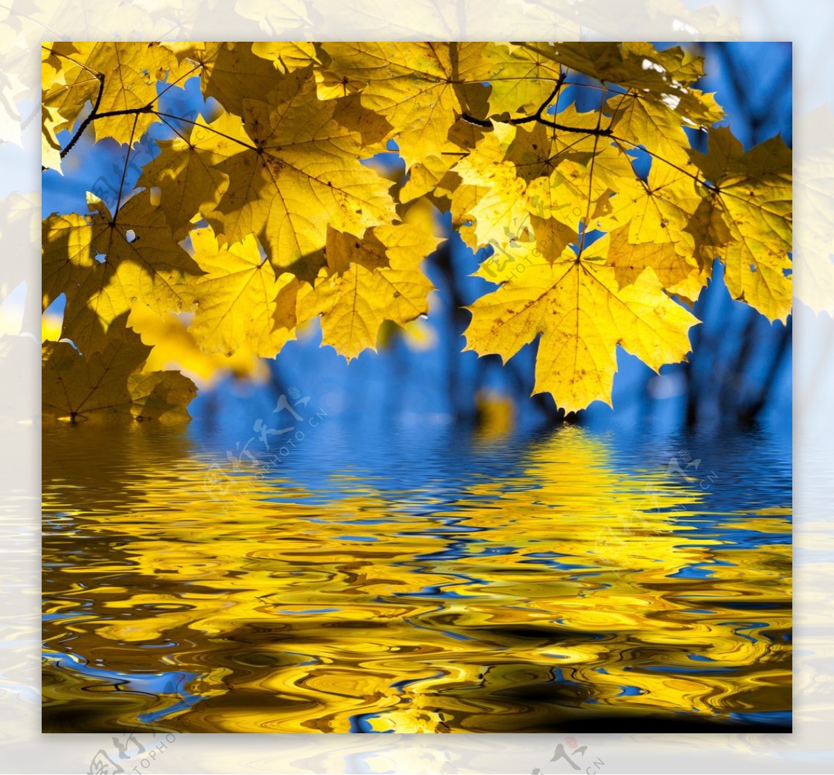 秋天唯美枫叶风景意境图片壁纸-壁纸图片大全