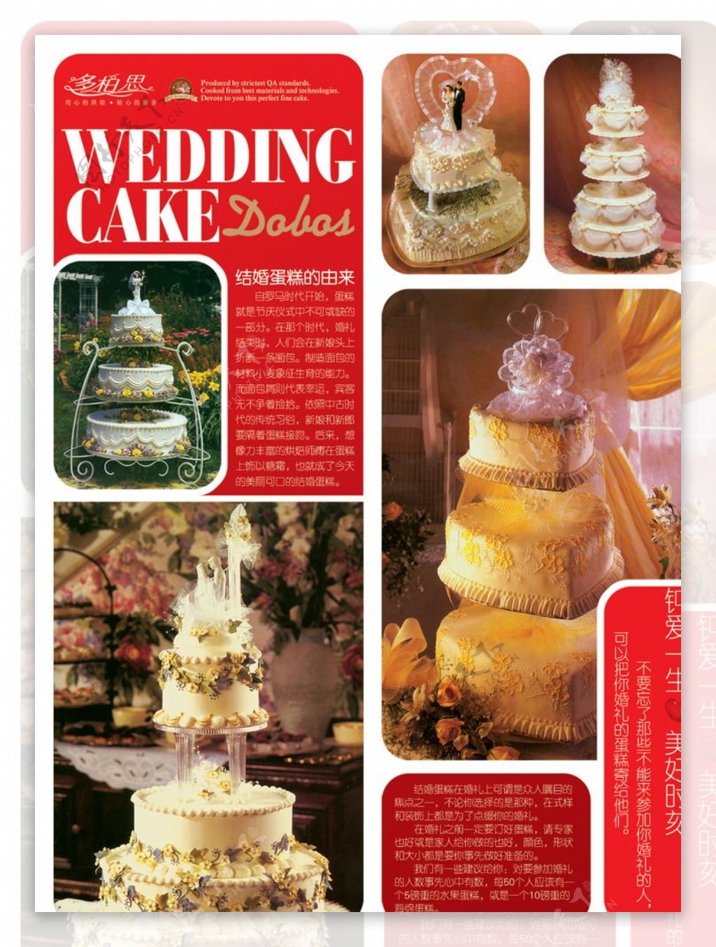 结婚蛋糕折页图片