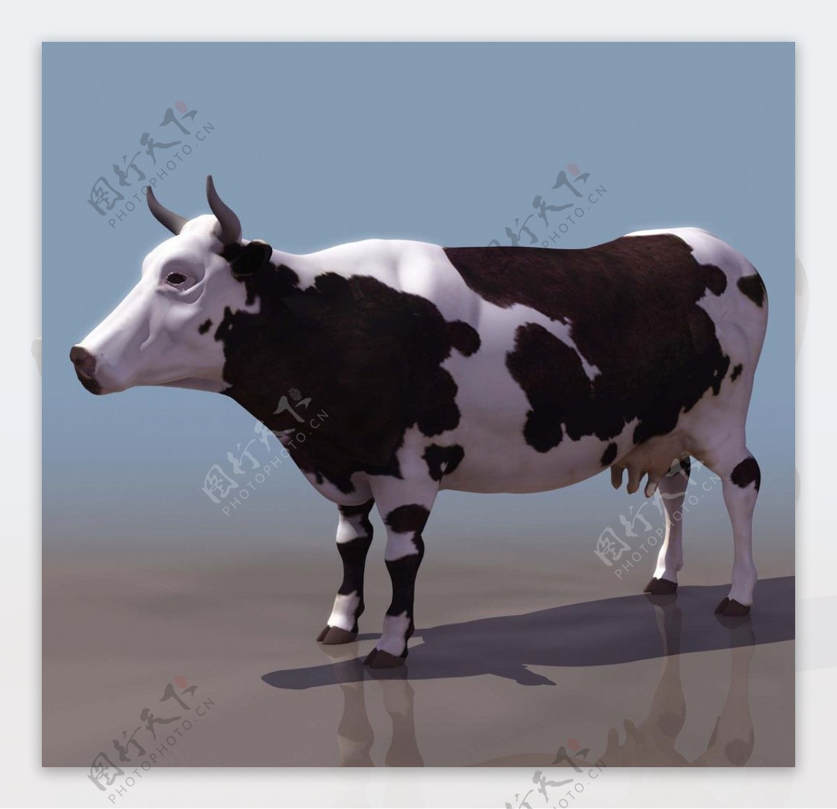 3D模型图库动物类奶牛图片