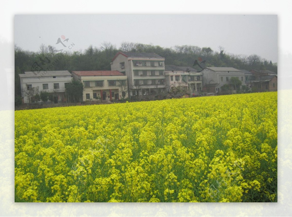 衡阳县风景图片