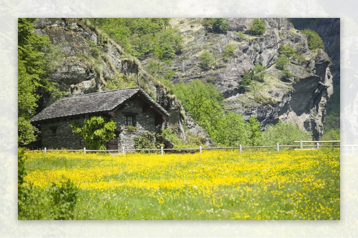 山脚下的草地农屋图片