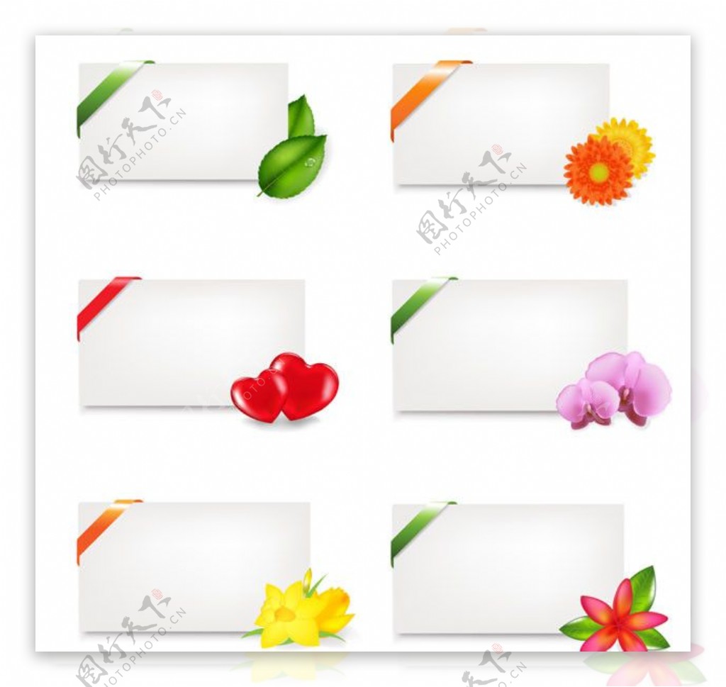 花朵丝带卡片矢量素材图片