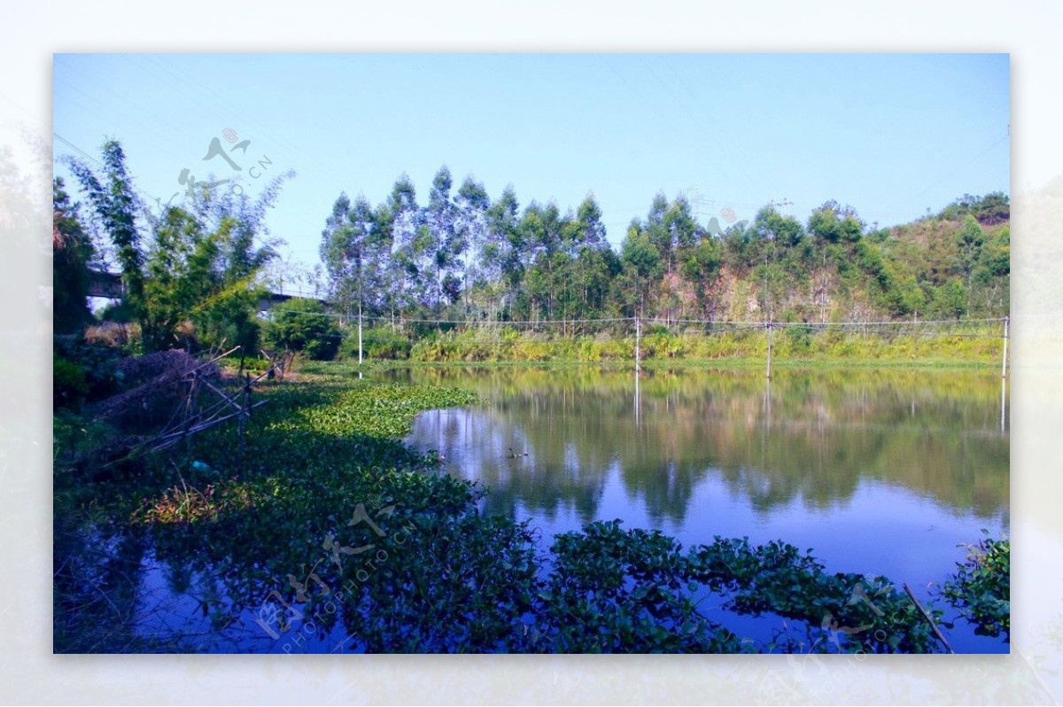 水塘景观碧水蓝天图片