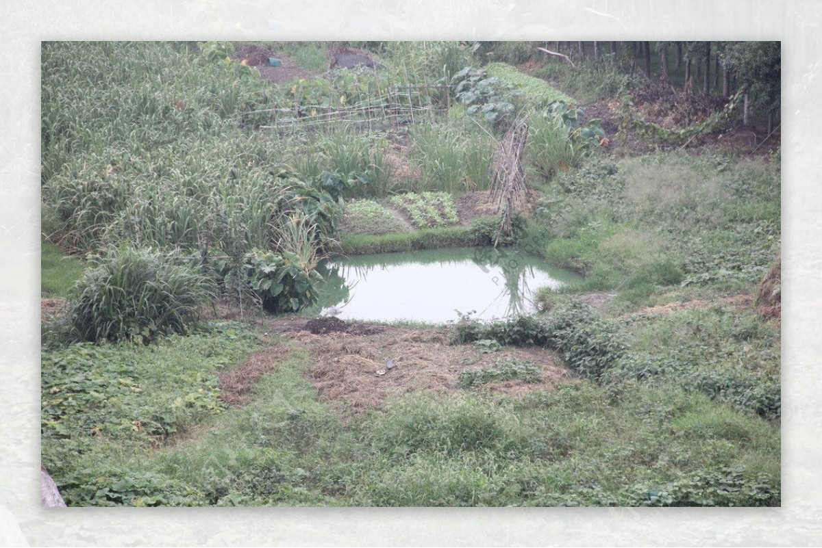 田园风光图片