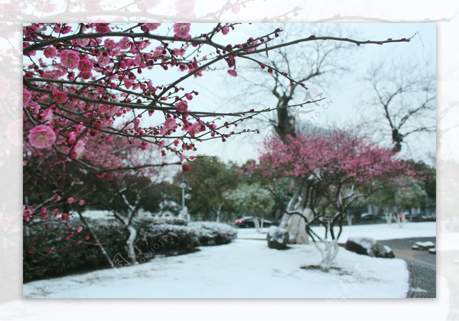 公园雪景图片