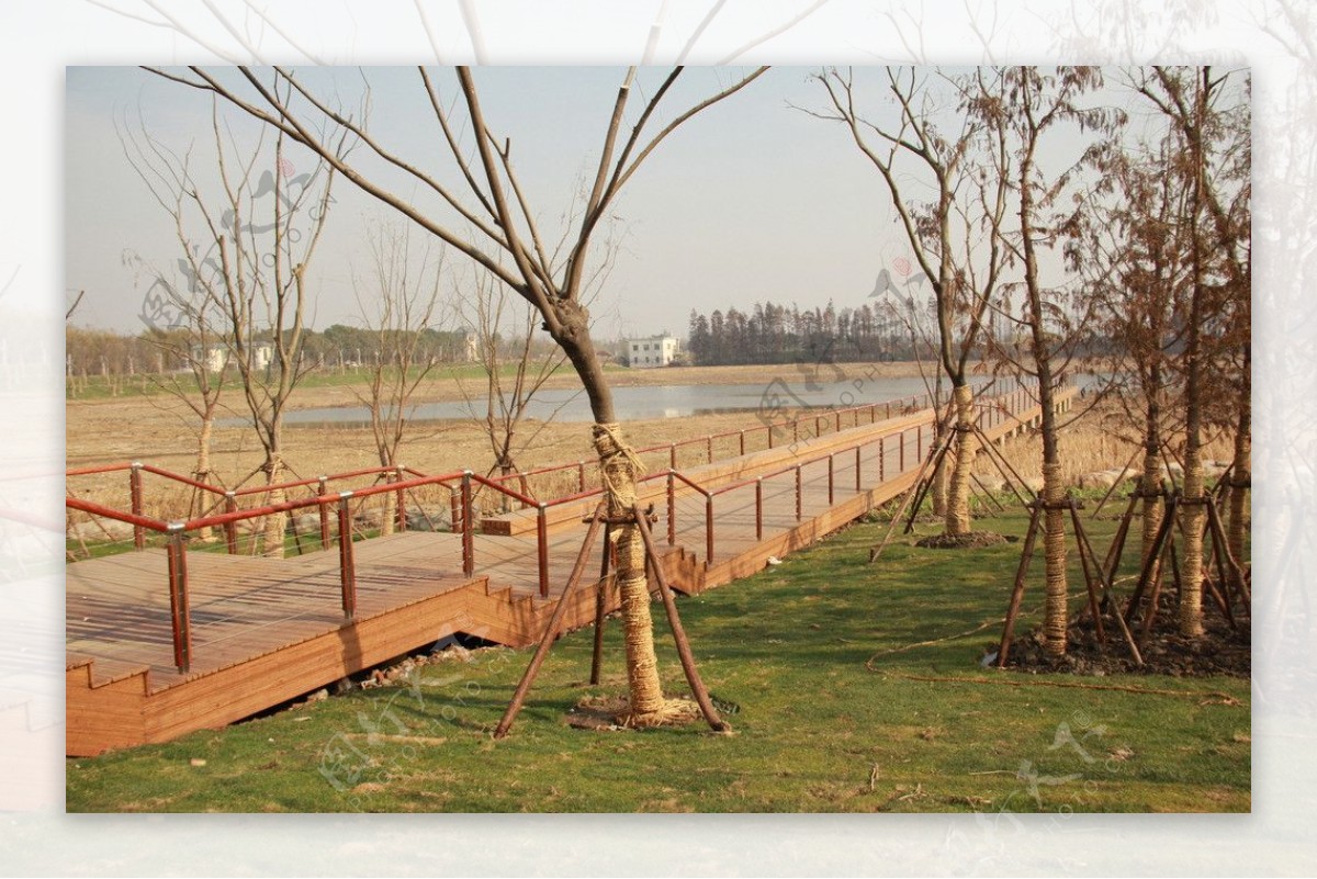 防腐竹木平台及栏杆图片