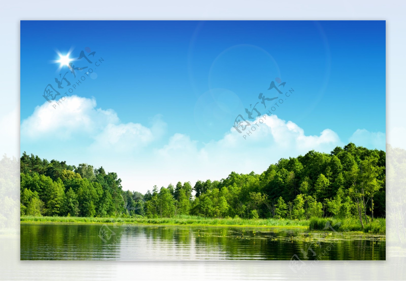 树林与湖泊风景图片