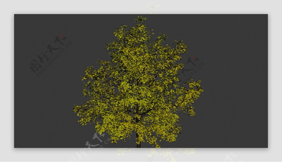 树模型图片