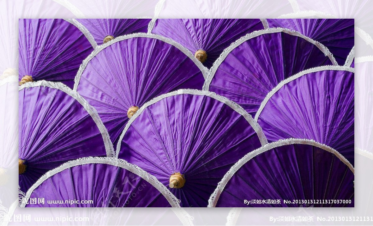 紫伞图片