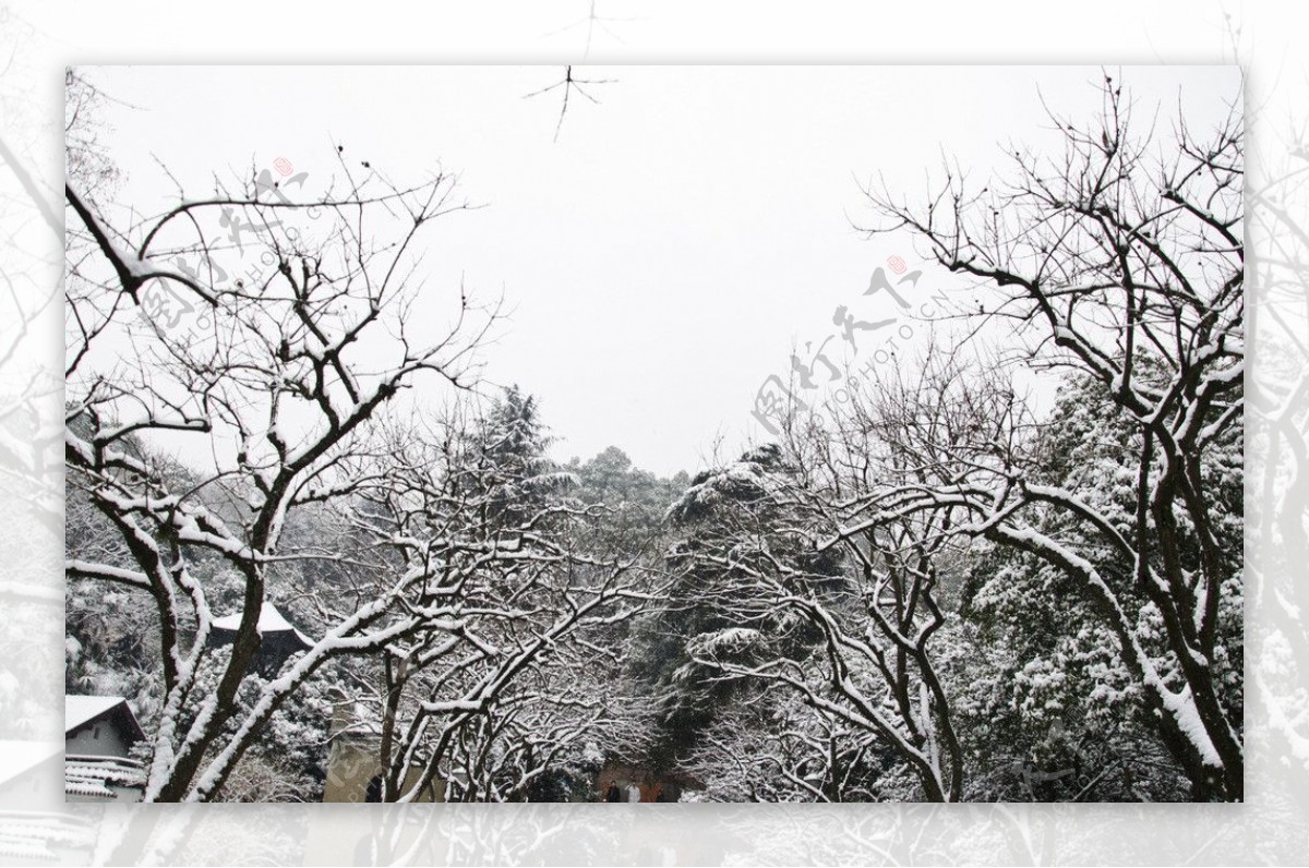 雪景图片