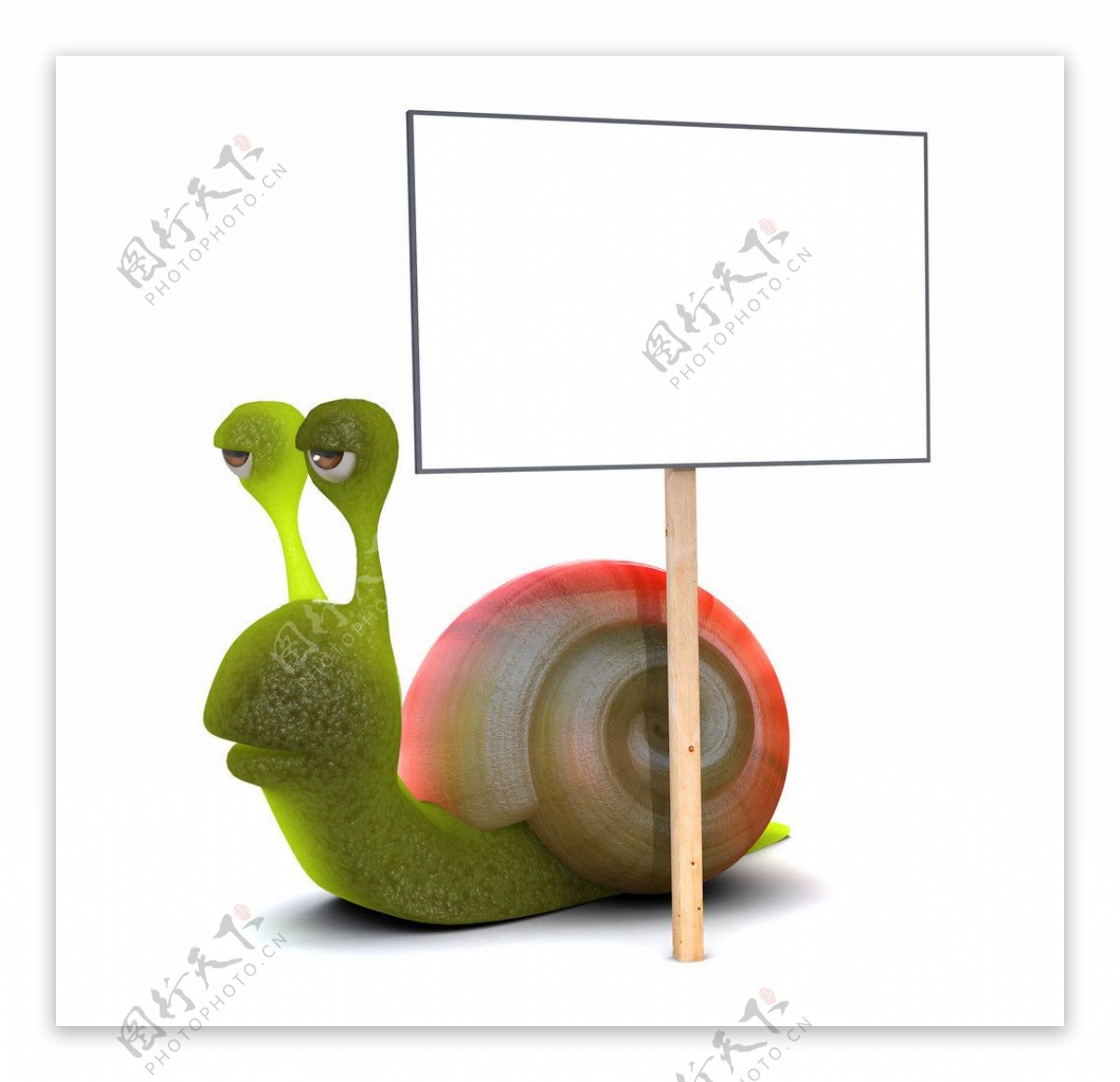 3d蜗牛图片