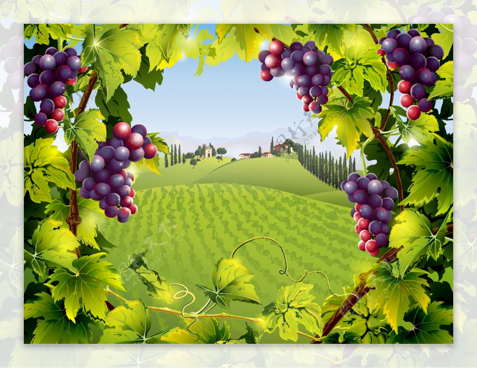 葡萄庄园风景图片