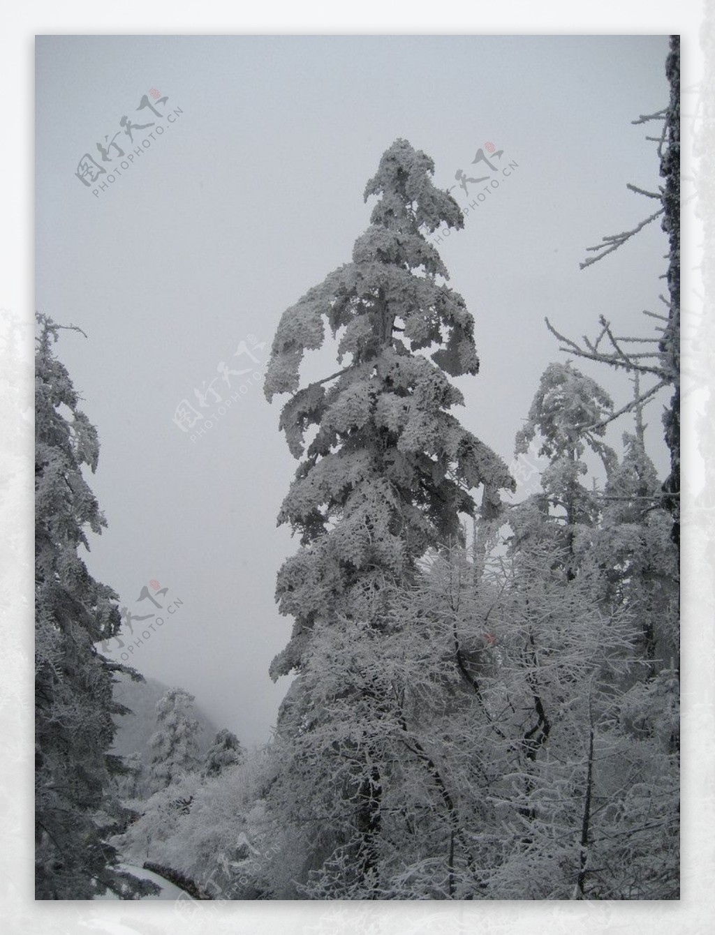 峨眉山雪景图片