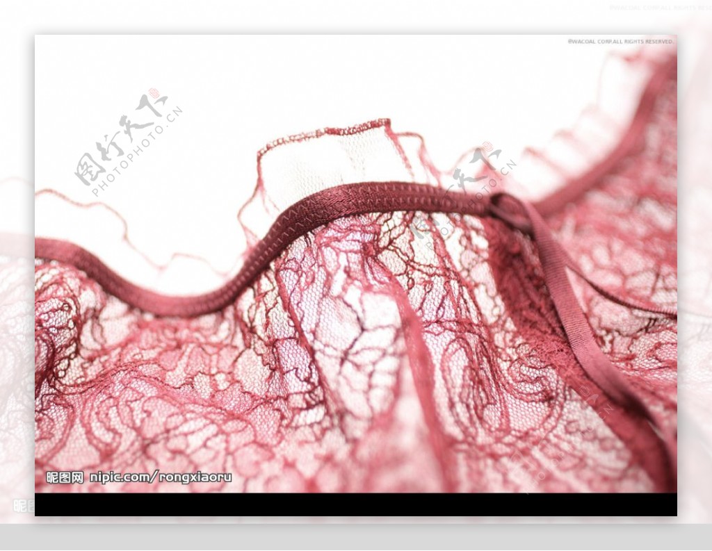华歌尔内衣蕾丝壁纸图片