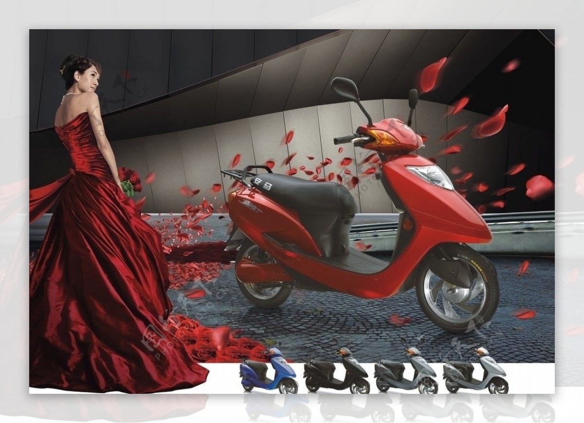 电动车助力车摩托车图片素材女人花瓣