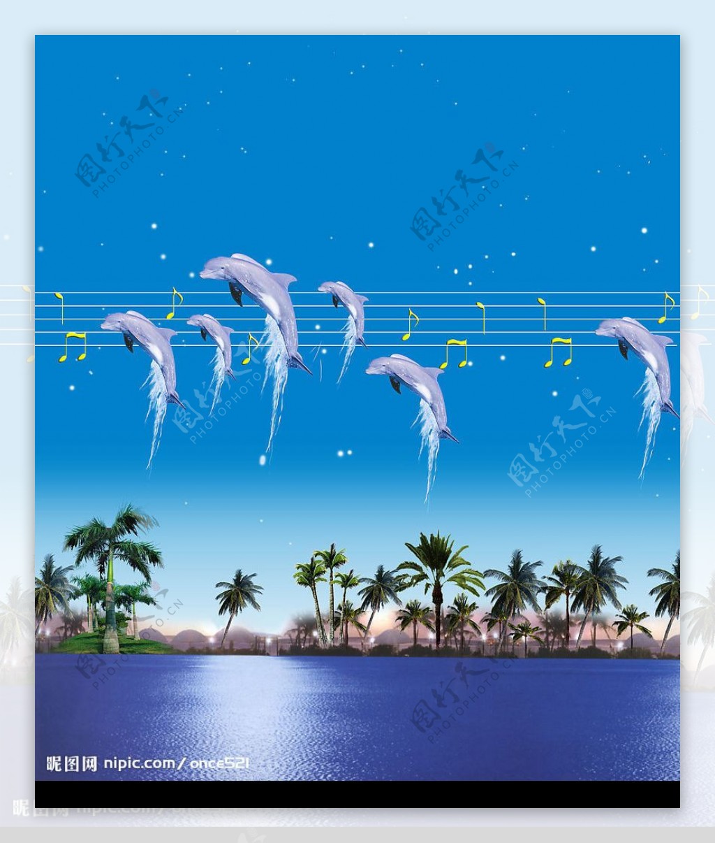 音乐海豚图片