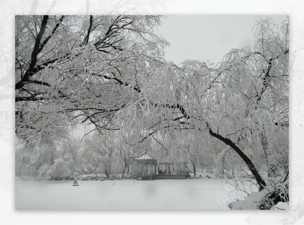 雪景图片