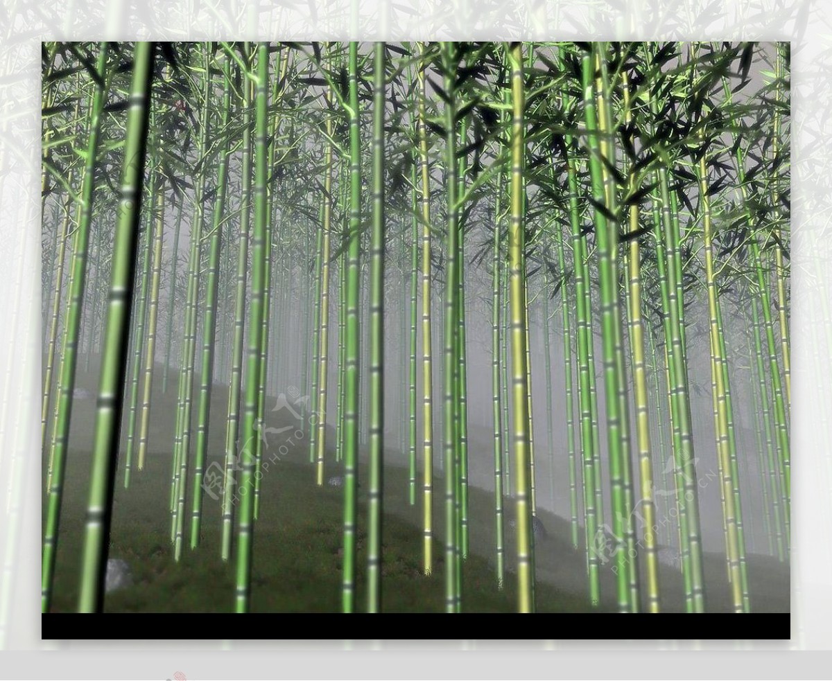 3D竹林图片