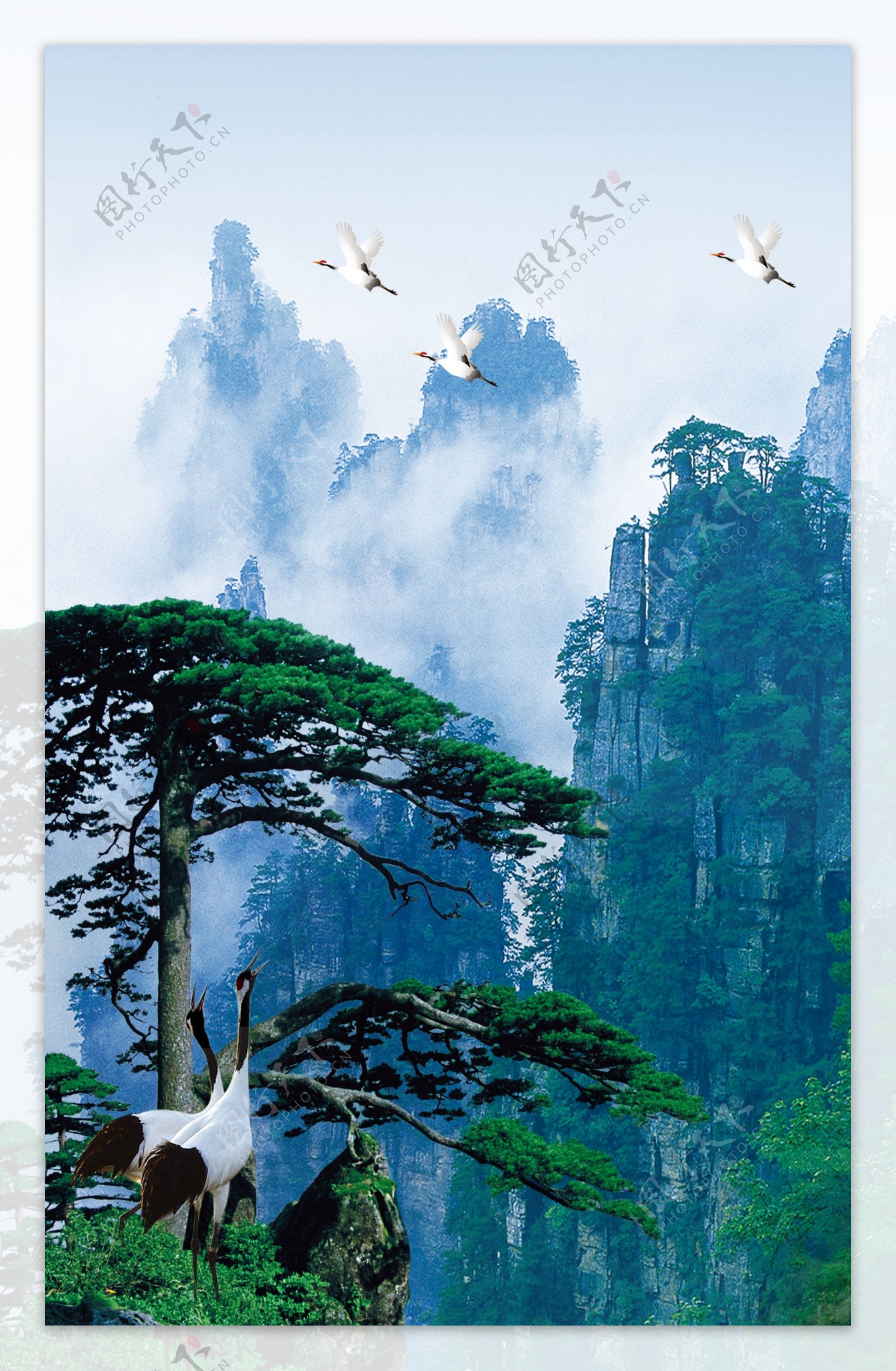 松鹤自然风景图片