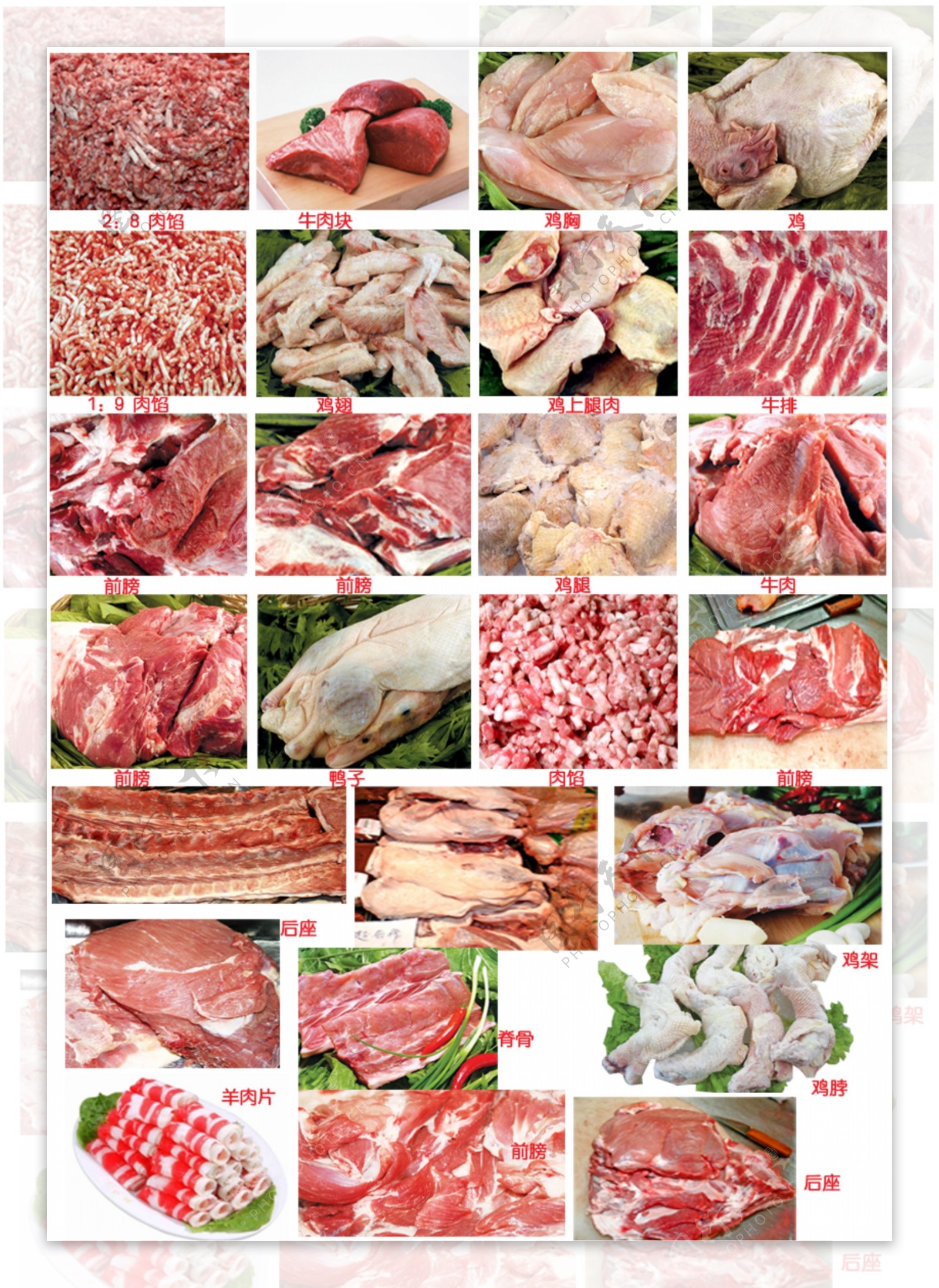 新鲜肉品大全图片