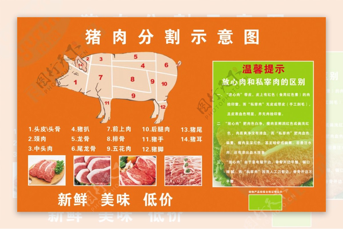 雨润猪肉分割图图片