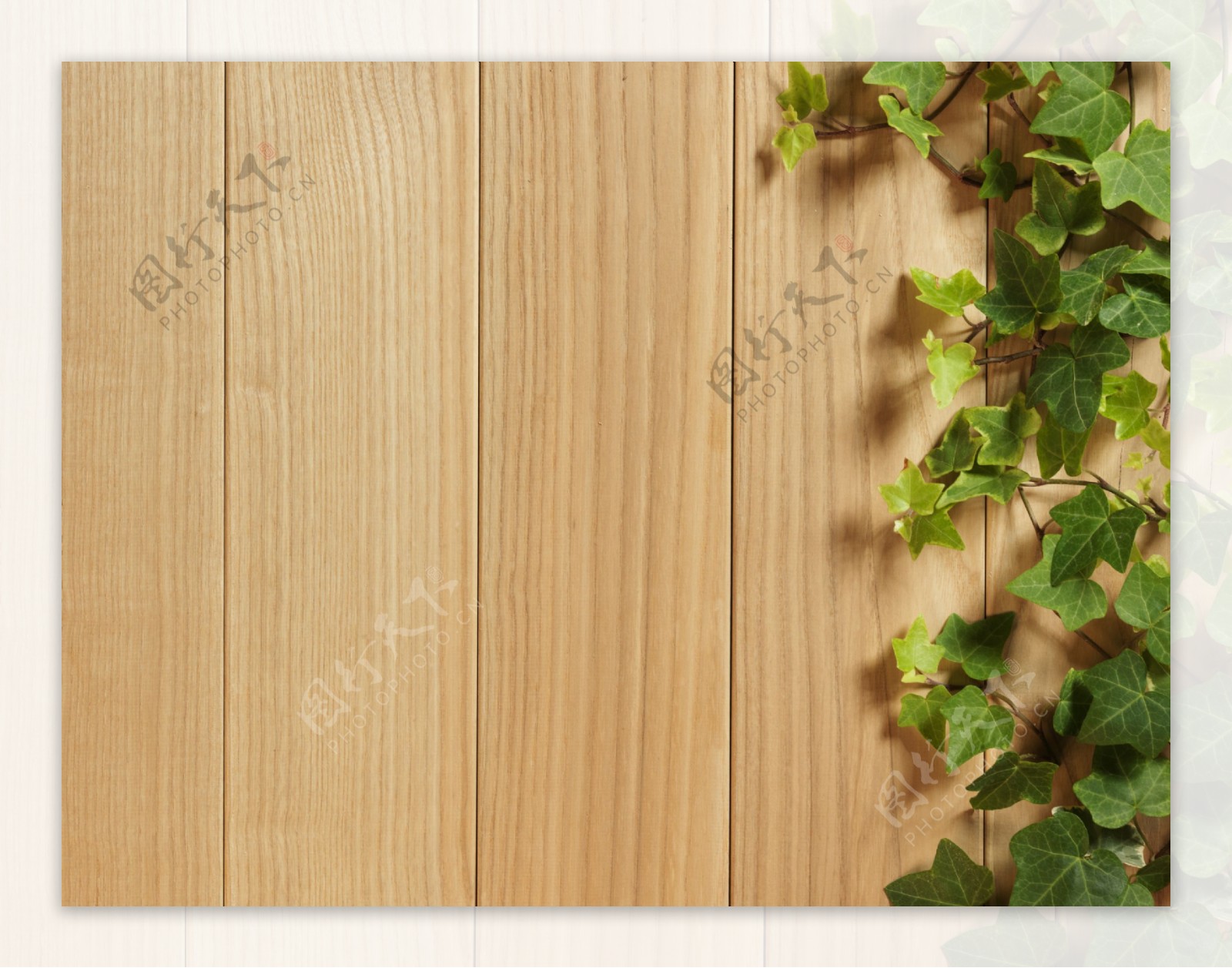 木纹木板树叶图片