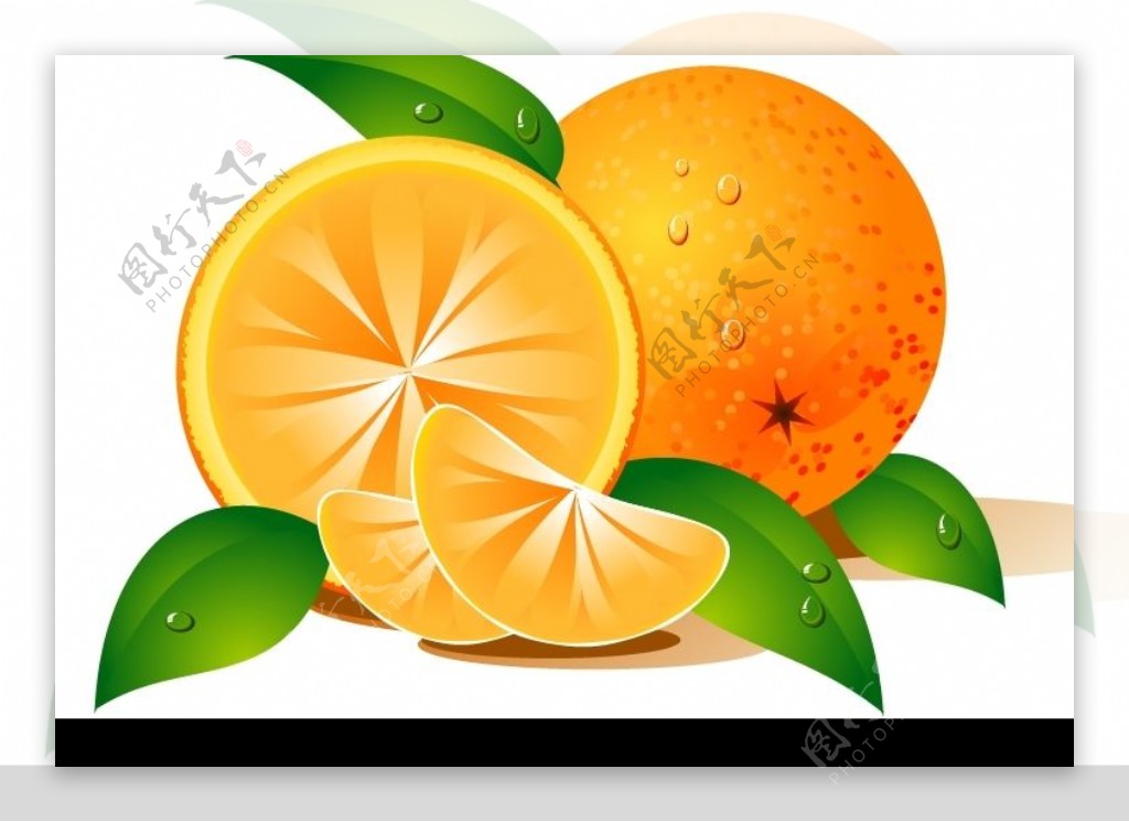 橙子水果矢量素材图片